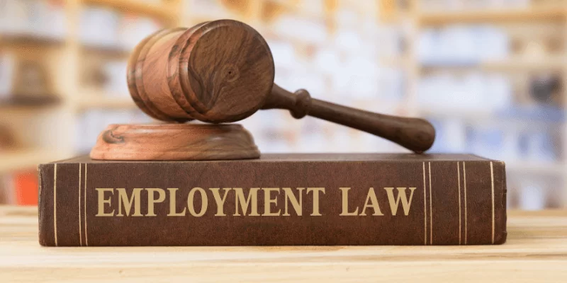 employment law may